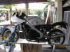 IMG_1454.JPG