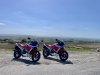 IMG_4701.jpeg
