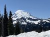 IMG_20250529_104834.jpg