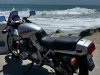IMG_4911.jpg