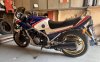 IMG_7816.jpeg