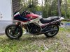 IMG_6441-b.jpeg