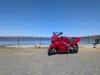PXL_20260411_154412787.jpg