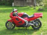 Mechiuoe302