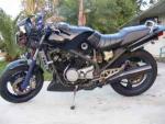 rogue88