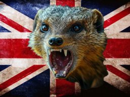 MadMongooseUK