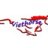 VietHorse