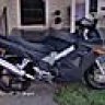 Hondapitbull