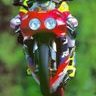 Gaunty41