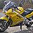 92yellowveefer