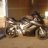 Paul04vfr