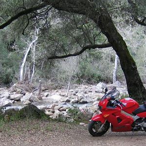 Beside creek
