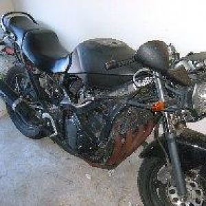 New Members rides