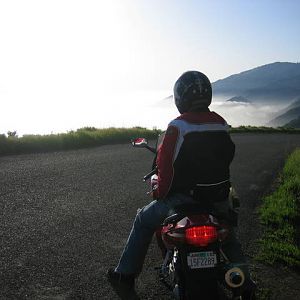 Fergusen Road