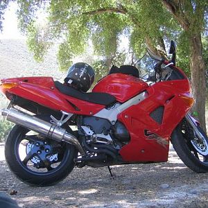 Bike under tree...