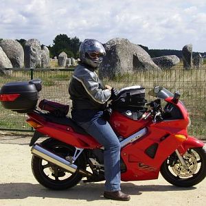 CitrusSinensis Rides 2005