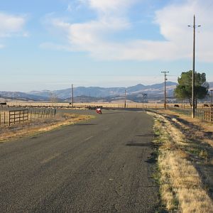 IMG_3391