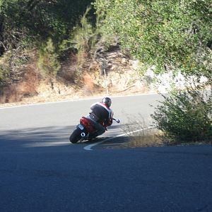 Reg Hwy 229 right hander