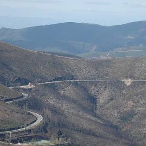 Portuguese Roads