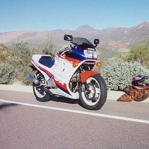 055_55_vfrspotfrantEE