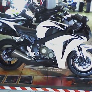 the new 2008 CBR's