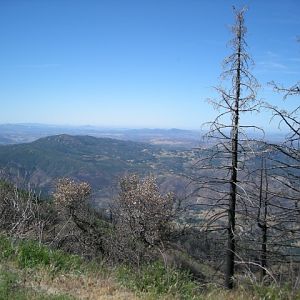 DSCN1327
