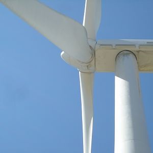 DSCN1777