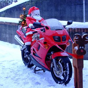 Santa & Rudolf hijacking thy VFR