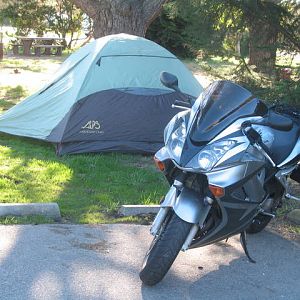 vfr 800 (my first wife)