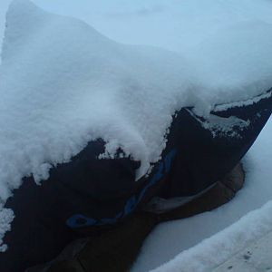 DSC00176