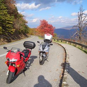 Blueridge Parkway, Virginia