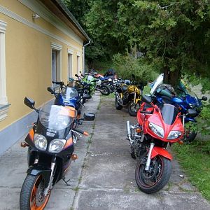 bansai