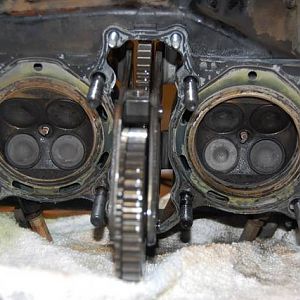 RC24E motor rebuild