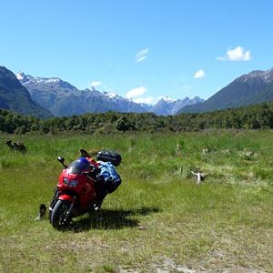 south island tour