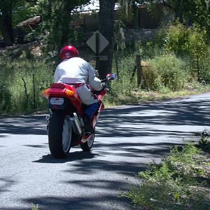 2010_Slo_35_