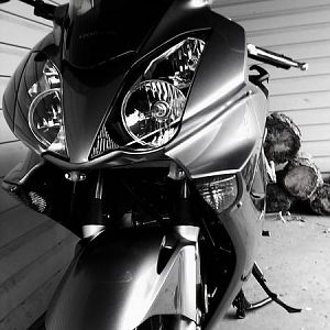 C360_2010-09-16_12-04-50