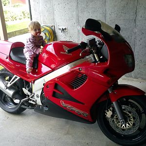 Member Album by andertol