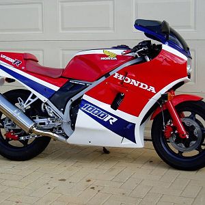 Member Album by Blackxx11