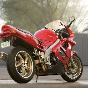 Member Album by photog