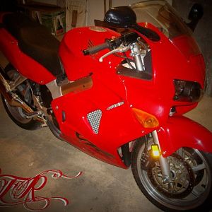 Member Album by FirstTime