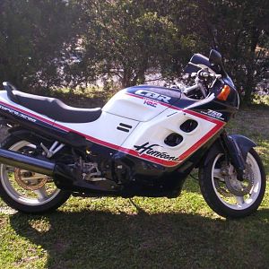 "oz800" My L`s bike CBR1000F w/ 750 fairings