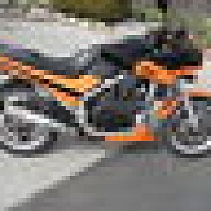 Member Album by willsac21