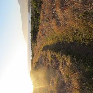 IMG_02821