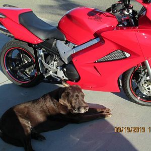 red_bike_i_1_