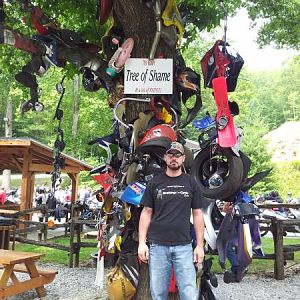 Tree of Shame
