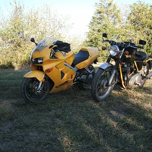 Viffer and Garage Buddy