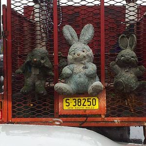 Sad_Bunnies