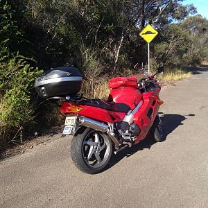 Road trip NSW