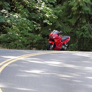 an outing of sorts