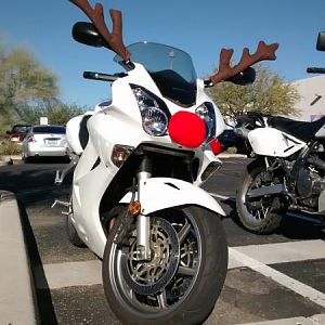 Rudolf